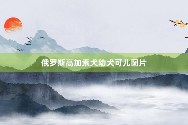 俄罗斯高加索犬幼犬可儿图片