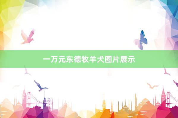 一万元东德牧羊犬图片展示
